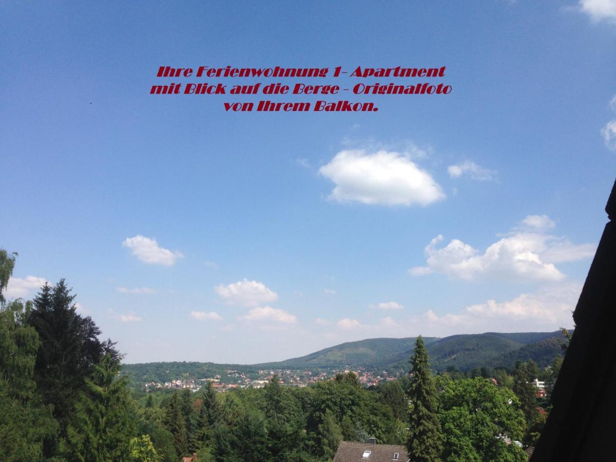 Ferienwohnungen Am Elfenstein Bad Harzburg Exteriör bild