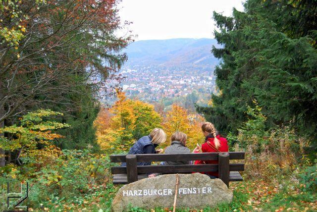 Ferienwohnungen Am Elfenstein Bad Harzburg Exteriör bild