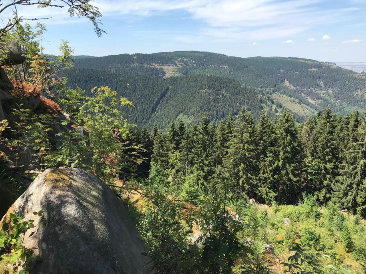 Ferienwohnungen Am Elfenstein Bad Harzburg Exteriör bild